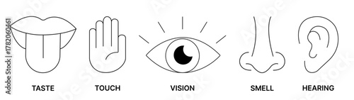 Human senses icon set. Five types of human sense - taste, hearing, smell, vision, touch. Nose, eye, hand, ear, mouth with tongue line style collection - stock vector.