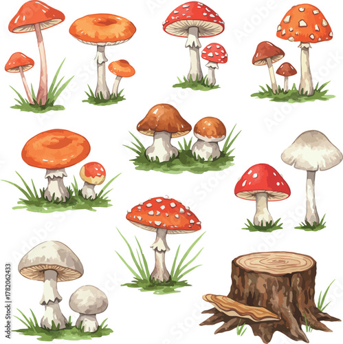 Watercolor forest mushrooms and natural elements