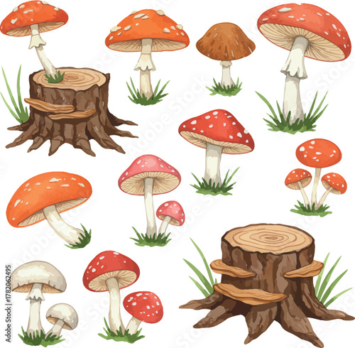 Hand-drawn woodland mushrooms and tree stumps art
