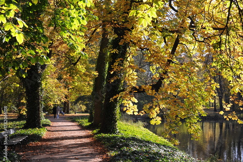 Trees with colorful leaves during foliage in autumn in an old park Lazienki in Warsaw, Poland