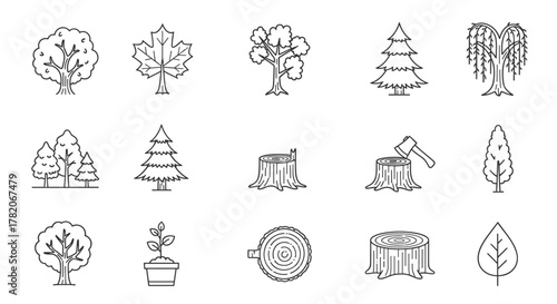 Set of tree and forest related line icons, editable stroke for design, web sites, apps, cards, contains linear images of deciduous and coniferous trees, maple leaf, sapling, and tree stumps with axe