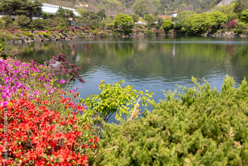 pond in the park beauty