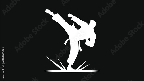 Dynamic martial artist silhouette demonstrating powerful kick on black background, perfect for fitness, sport, and wellness promotions, a symbol of strength
