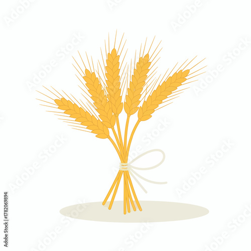 Bundle of golden wheat tied with a ribbon symbolizing harvest and agricultural abundance for autumn themes and Thanksgiving