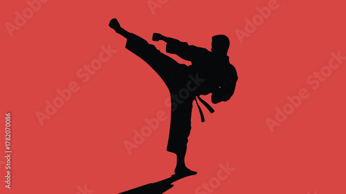 Dynamic silhouette of a martial artist executing a powerful kick against a bold coral backdrop, perfect for sports brands and fitness promotions now