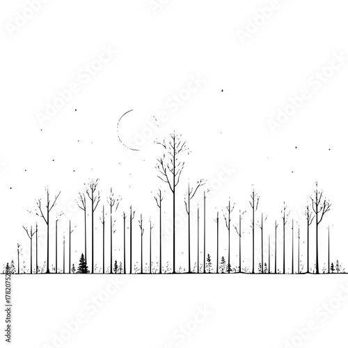 Monochrome forest landscape with bare trees under a moonlit sky and sparse vegetation in silhouette