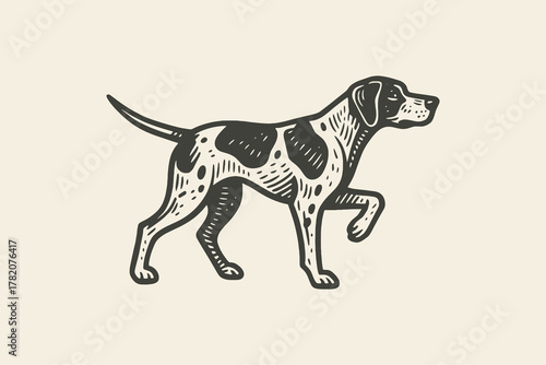 Hunting dog pointer, bold engraving sketch vector illustration