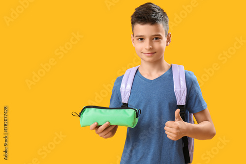 Little schoolboy with penci...