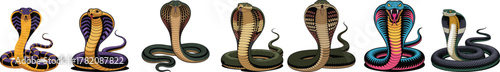 Rearing Cobra Snake Vector Set: King Cobra and Spitting Cobra Illustration Collection