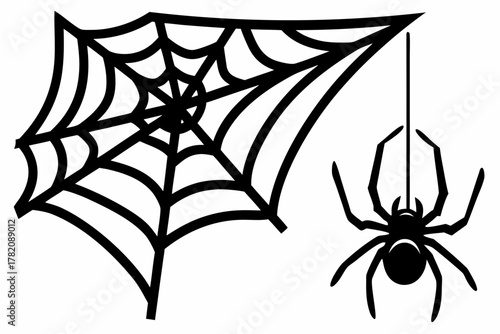 spider web hanging spider silhouette vecto