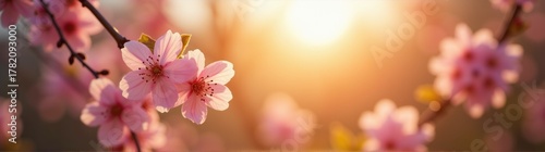 Close up of a pink flower on a tree