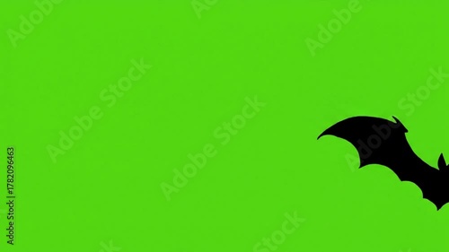 Black Bat Flying Silhouette with Green Screen Background Halloween