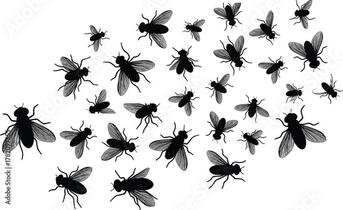 Group of flying houseflies in black silhouette style, swarm of insects with wings spread, symbolizing movement, infestation, and summer wildlife on white background