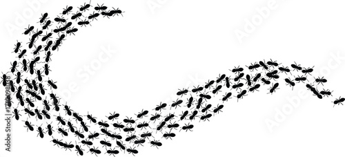 Wave-shaped trail of marching ants forming a curved line, black insect silhouettes symbolizing teamwork, direction, unity, and collective motion on white background