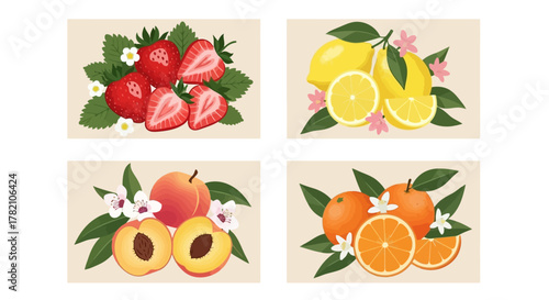 Ocean Creatures Crab Surrounded by Starfish and Seashells