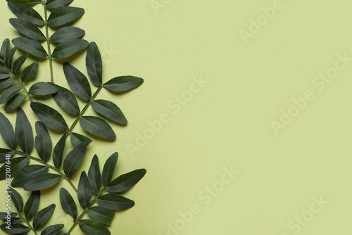 Natural green leaves border...