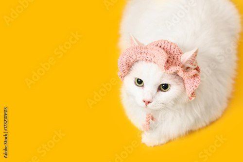 Cute white cat in funny pin...