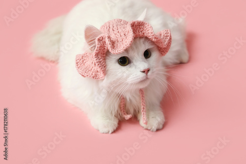 Cute white cat in funny pin...