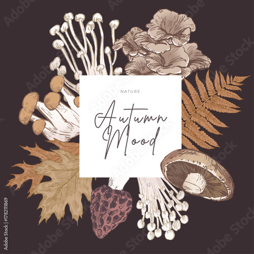 Autumn brown leaves with various mushrooms, hand drawn naturalistic illustrations