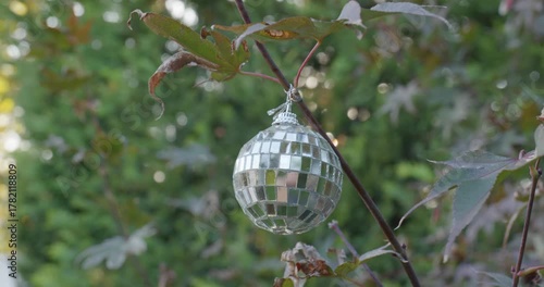 Small mirror ball ornament hanging from a tree branch reflecting its surroundings