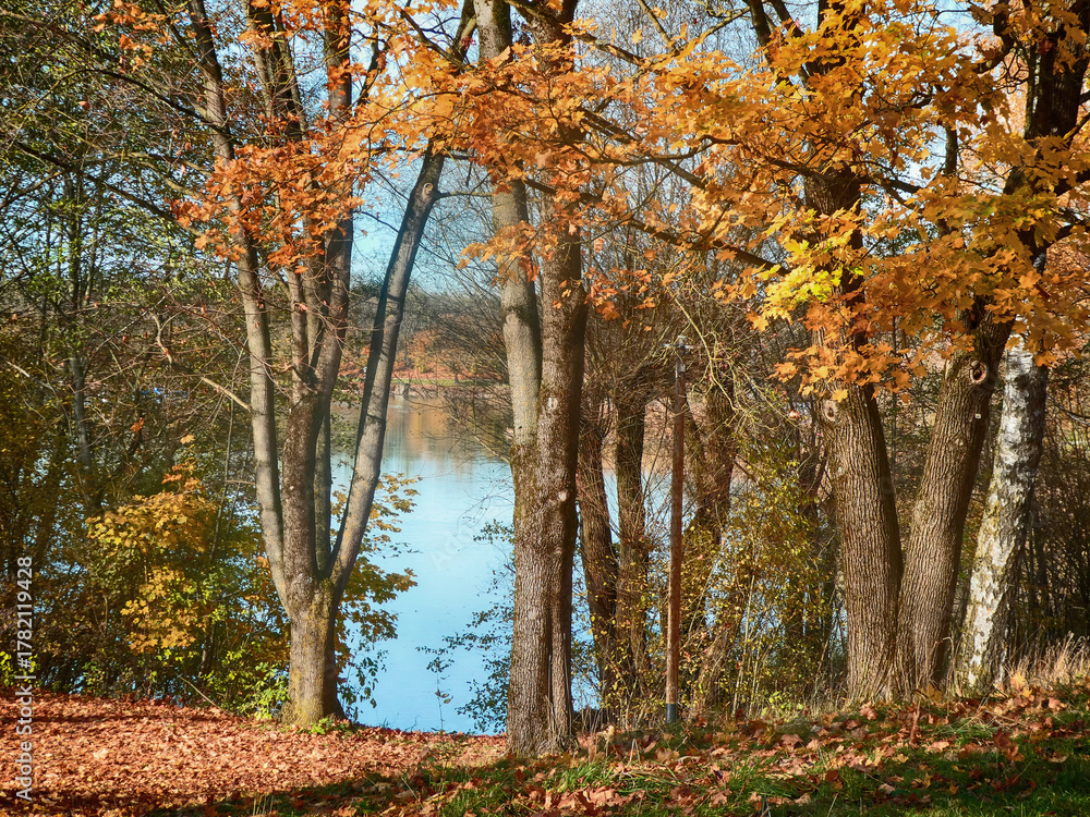 Obraz premium Germany, Bavaria - lake of Garching near Munich in a sunny day of autumna glimpse of the blue-green waters through the trees with orange leaves