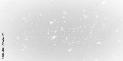 White Frozen Snowflakes PNG Shiny Winter Texture.
