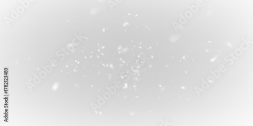 White Frozen Snowflakes PNG Shiny Winter Texture.