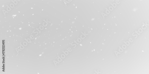 White Frozen Snowflakes PNG Shiny Winter Texture.