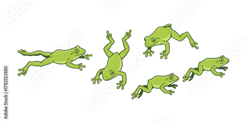 Green frogs jumping animated cartoon illustration