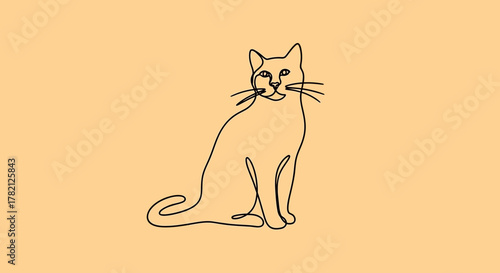 vector illustration of a cat