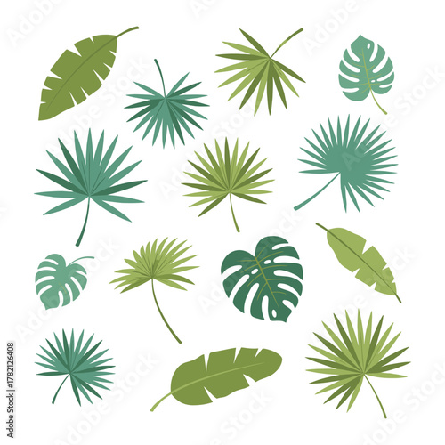 Tropical leaves collection and palm fronds design