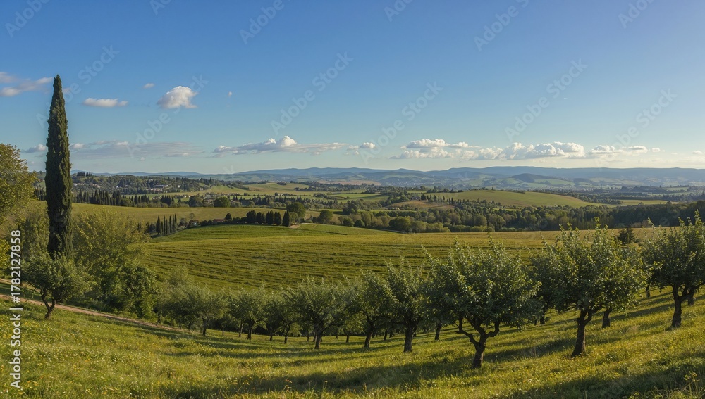 Obraz premium Scenic countryside panorama in summer with lush green fields and trees