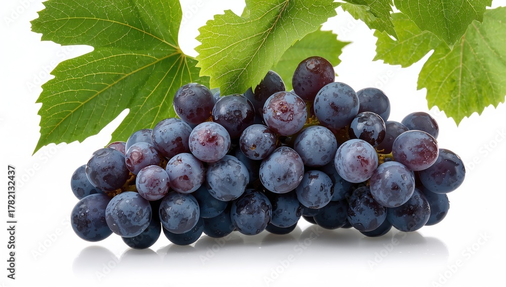 Fototapeta premium A cluster of mature blue grapes with leaves covered in water droplets on a white backdrop.