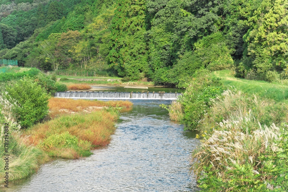 Fototapeta premium 日本の田舎の原風景と集落｜青空の下、広がる水田とあぜ道、そして古い家屋の風景