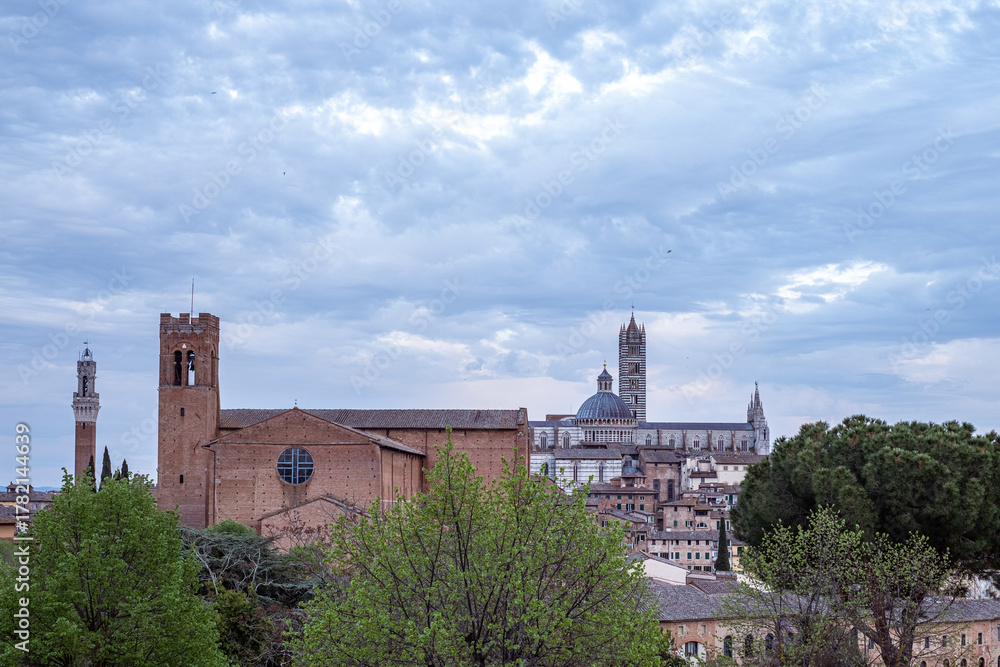 Obraz premium Basilica of San Francesco with historic architecture and lush greenery, showcasing the beauty of culture and religion in a serene travel destination with captivating ambiance