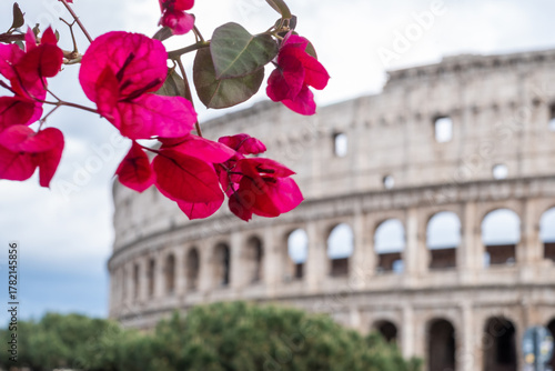 Ancient Colosseum arena in Rome surrounded by vibrant bougainvillea, showcasing historical architecture and cultural significance, inviting exploration and travel experiences in a historical context