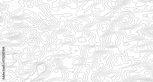 Abstract topographic contours map background. Topographic map and place for texture. Vector illustration.