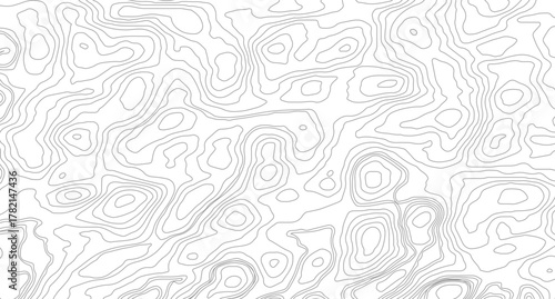 Abstract topographic contours map background. Topographic map and place for texture. Vector illustration.