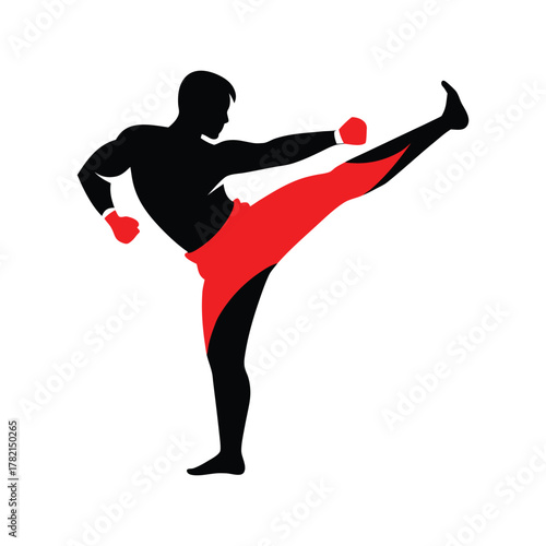 Silhouette of a martial artist performing a kick martial arts