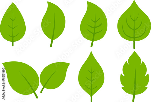 Green leaves icon set, fresh eco flat vector illustration design