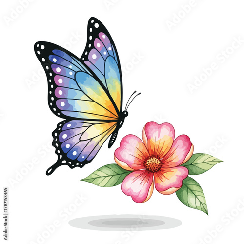 Vector Illustration of Butterfly and Flower in Colorful Organic Style