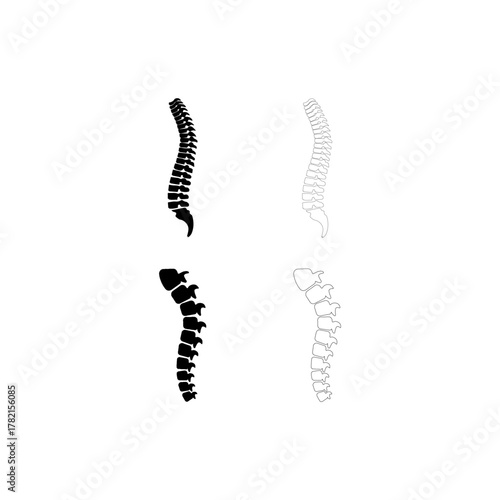 spine icon set, vectors illustration