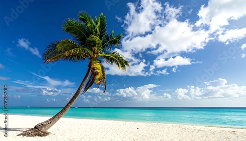 Fototapeta Naklejka Na Ścianę i Meble -  Palm tree over turquoise sea, white sand beach under sunny blue sky with scattered clouds