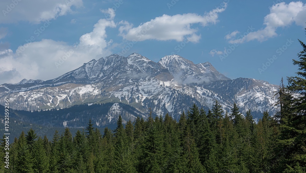 Fototapeta premium Green Pine Forest with Snow-Capped Mountain, seasonal change