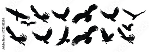  collection of eagle silhouette black vector