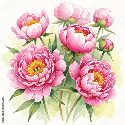 Vintage Floral Vector Illustration of Peony Flowers with Pink Petals and Green Leaves in Artistic Style for Botanical Design