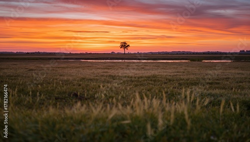 Fototapeta Naklejka Na Ścianę i Meble -  Sunset over a field landscape, reflecting seasonal change