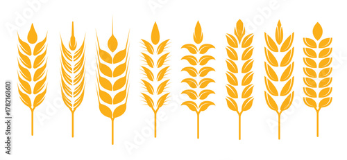 set of wheat ears icon vector illustration