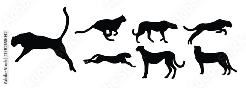 Siluetas Vector illustration