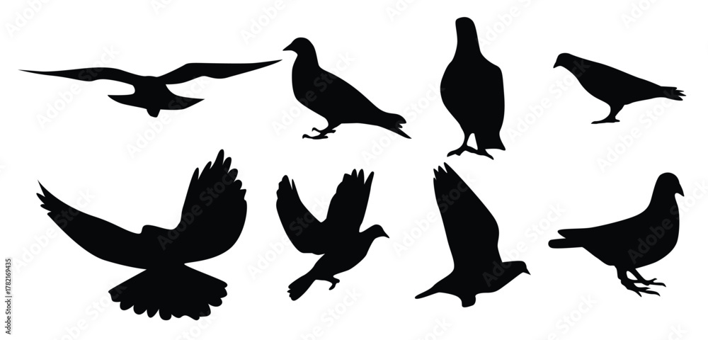 Fototapeta premium Siluetas Vector